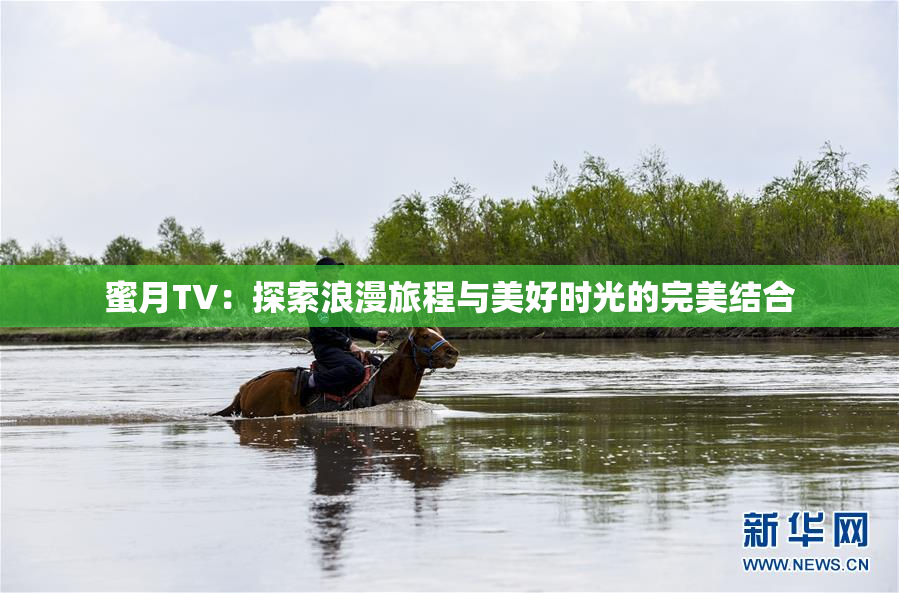 蜜月TV：探索浪漫旅程与美好时光的完美结合