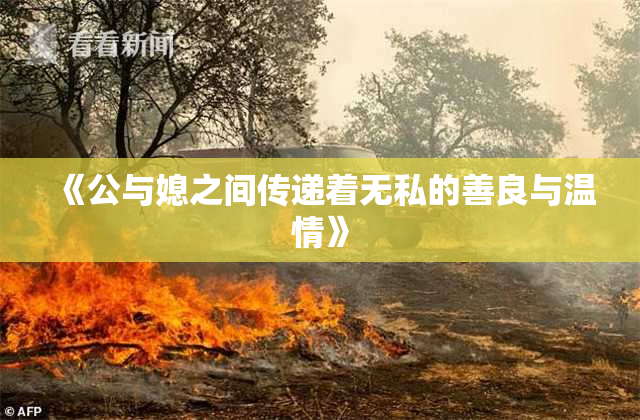 《公与媳之间传递着无私的善良与温情》