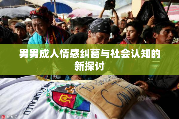 男男成人情感纠葛与社会认知的新探讨