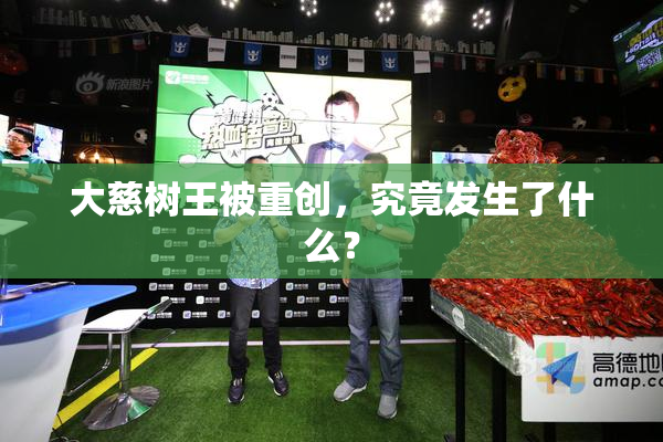 大慈树王被重创，究竟发生了什么？