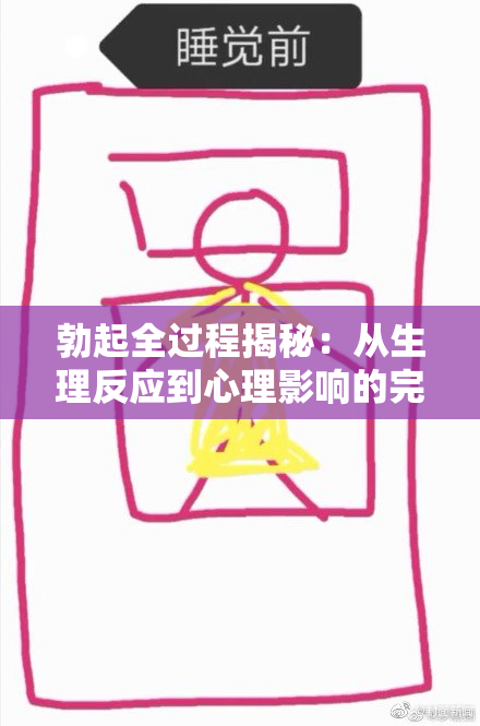 勃起全过程揭秘：从生理反应到心理影响的完整解析