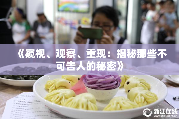 《窥视、观察、重现：揭秘那些不可告人的秘密》