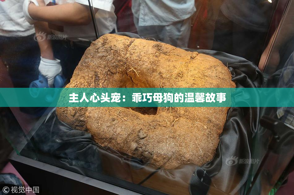 主人心头宠：乖巧母狗的温馨故事
