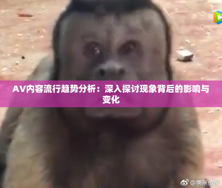 AV内容流行趋势分析：深入探讨现象背后的影响与变化