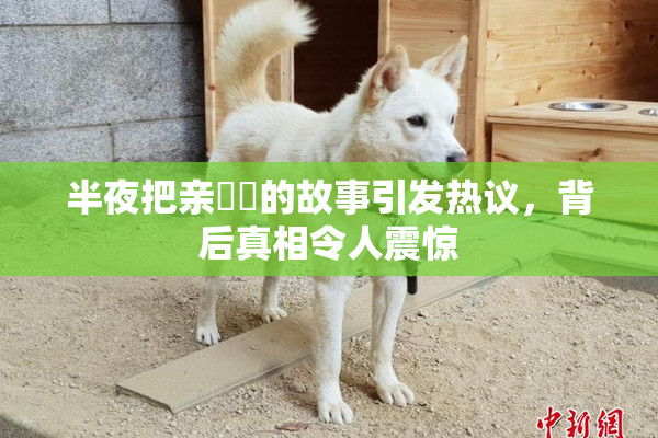 半夜把亲妺妺的故事引发热议，背后真相令人震惊