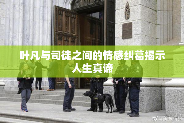 叶凡与司徒之间的情感纠葛揭示人生真谛