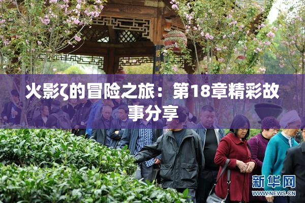 火影ζ的冒险之旅：第18章精彩故事分享