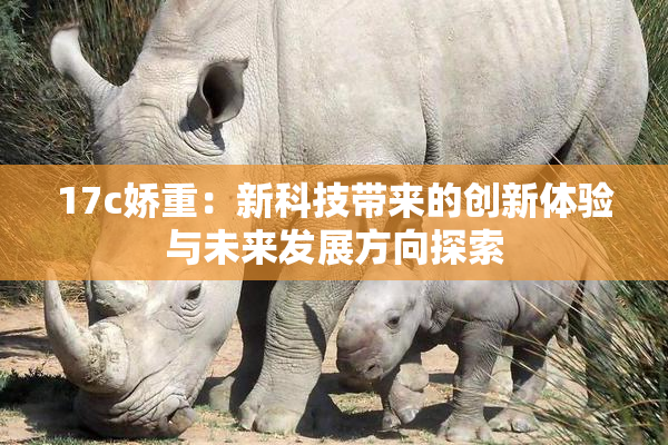 17c娇重：新科技带来的创新体验与未来发展方向探索