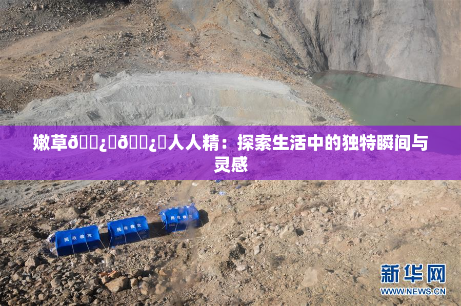 嫩草🌿‌🌿‌人人精：探索生活中的独特瞬间与灵感