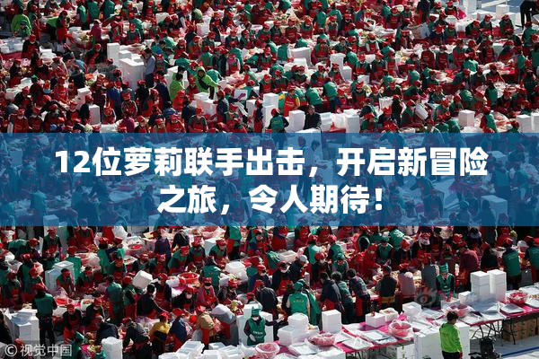 12位萝莉联手出击，开启新冒险之旅，令人期待！
