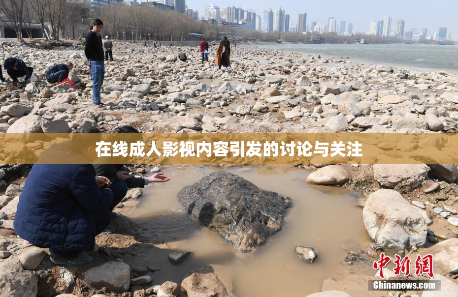 在线成人影视内容引发的讨论与关注