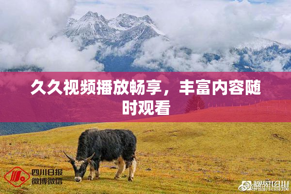 久久视频播放畅享，丰富内容随时观看