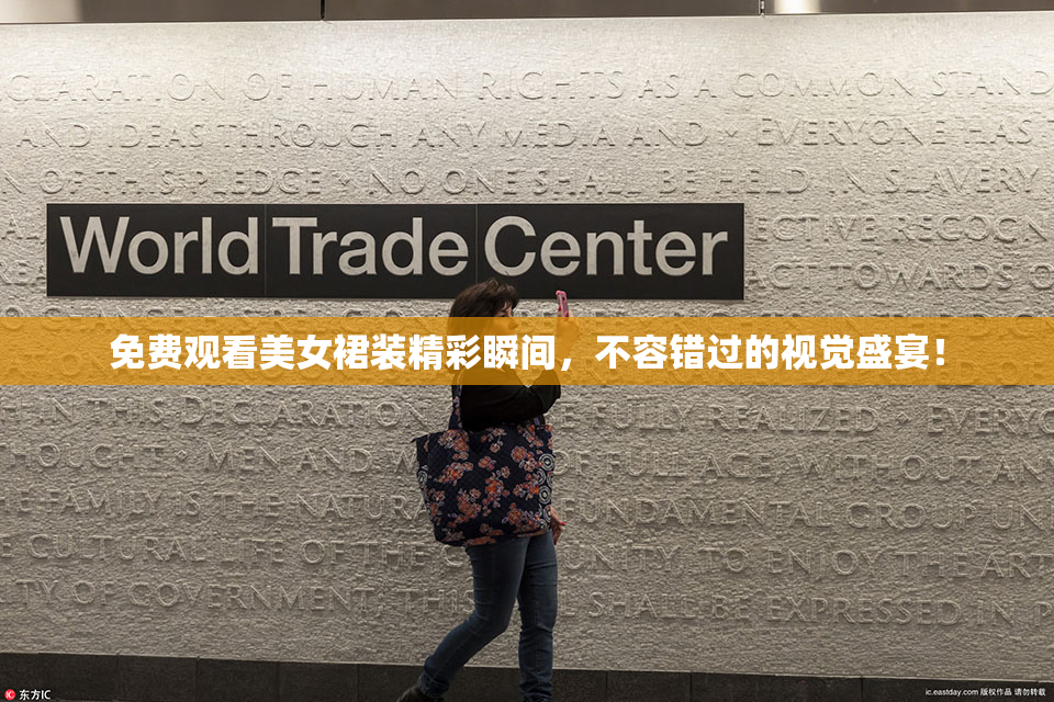 免费观看美女裙装精彩瞬间，不容错过的视觉盛宴！