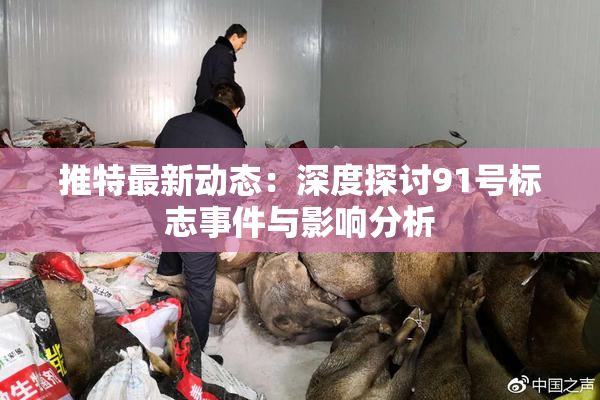 推特最新动态：深度探讨91号标志事件与影响分析