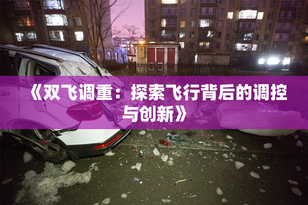 《双飞调重：探索飞行背后的调控与创新》