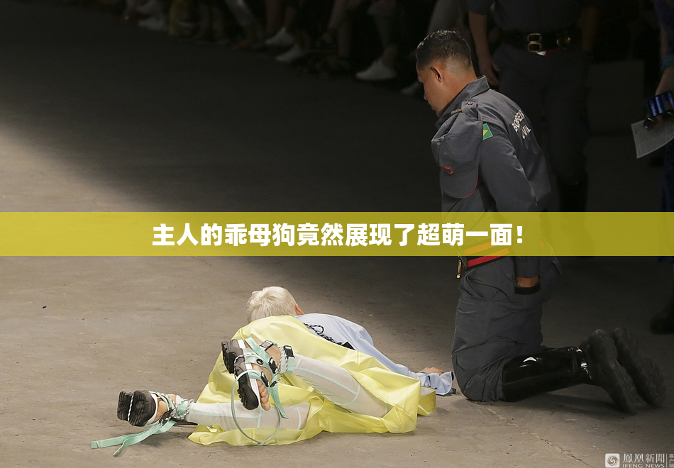 主人的乖母狗竟然展现了超萌一面！
