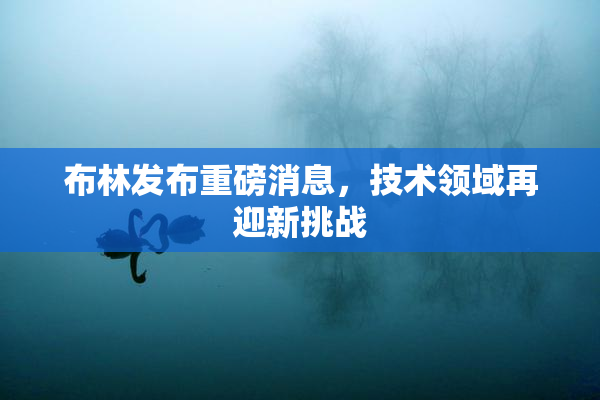 布林发布重磅消息，技术领域再迎新挑战