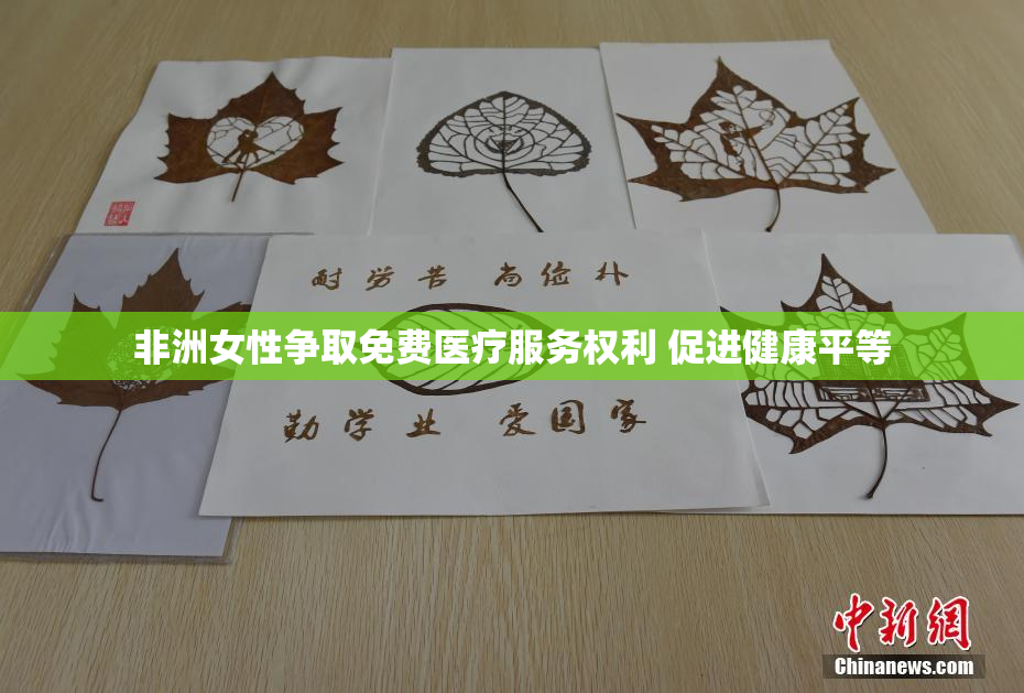 非洲女性争取免费医疗服务权利 促进健康平等