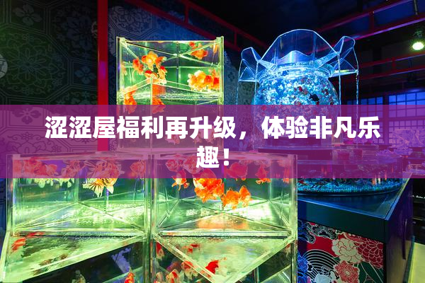 涩涩屋福利再升级，体验非凡乐趣！