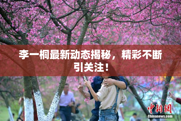 李一桐最新动态揭秘，精彩不断引关注！