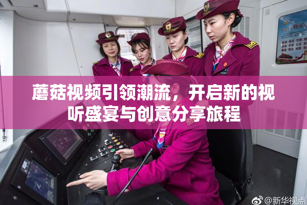蘑菇视频引领潮流，开启新的视听盛宴与创意分享旅程