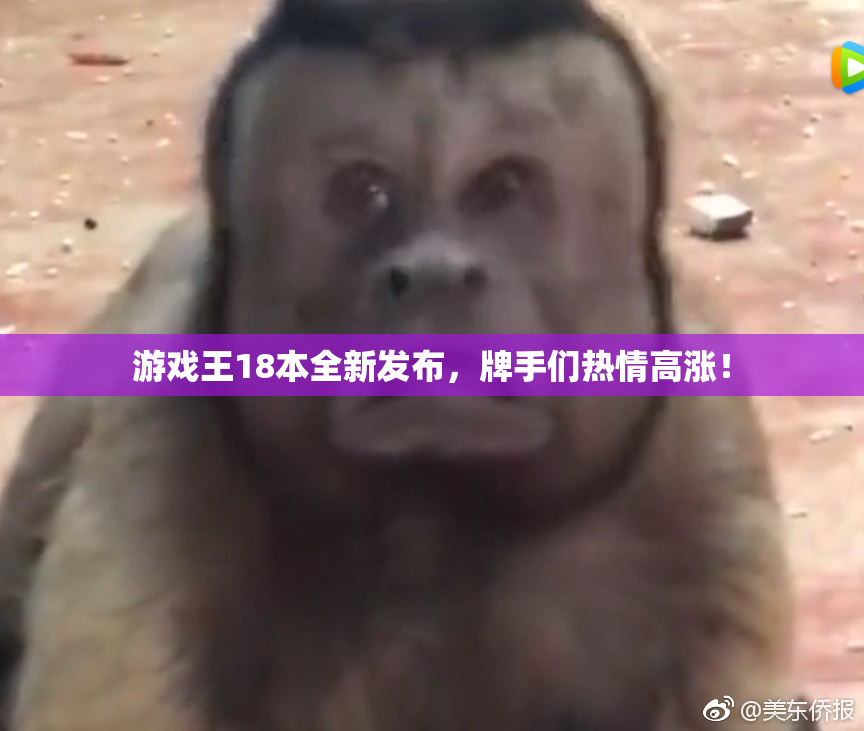 游戏王18本全新发布，牌手们热情高涨！