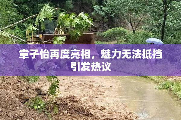 章子怡再度亮相，魅力无法抵挡引发热议