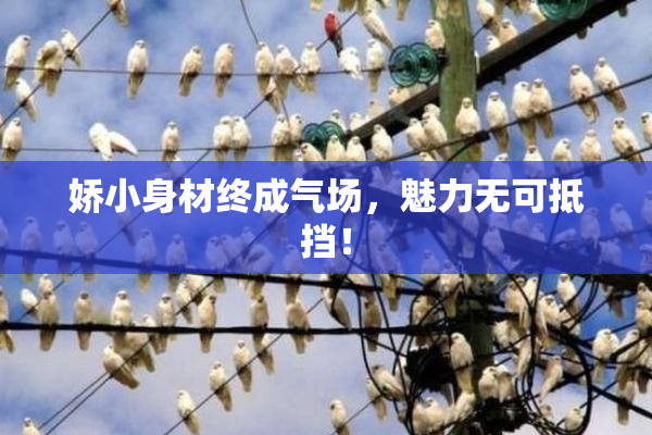 娇小身材终成气场，魅力无可抵挡！