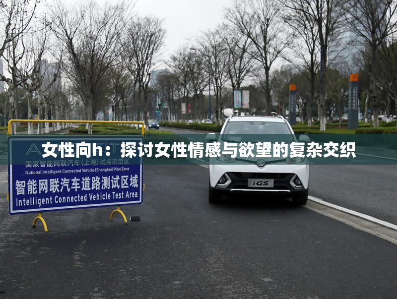 女性向h：探讨女性情感与欲望的复杂交织