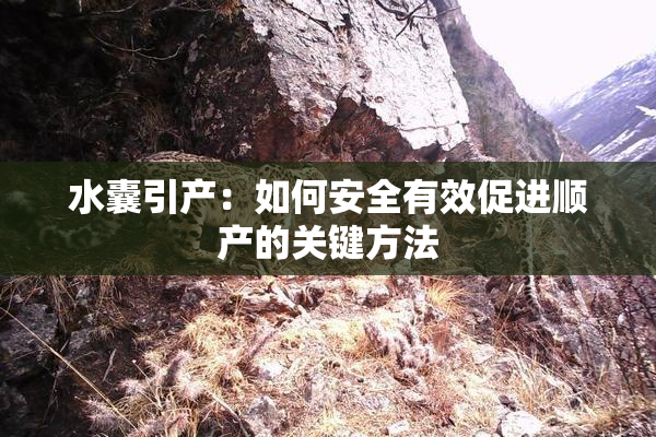 水囊引产：如何安全有效促进顺产的关键方法