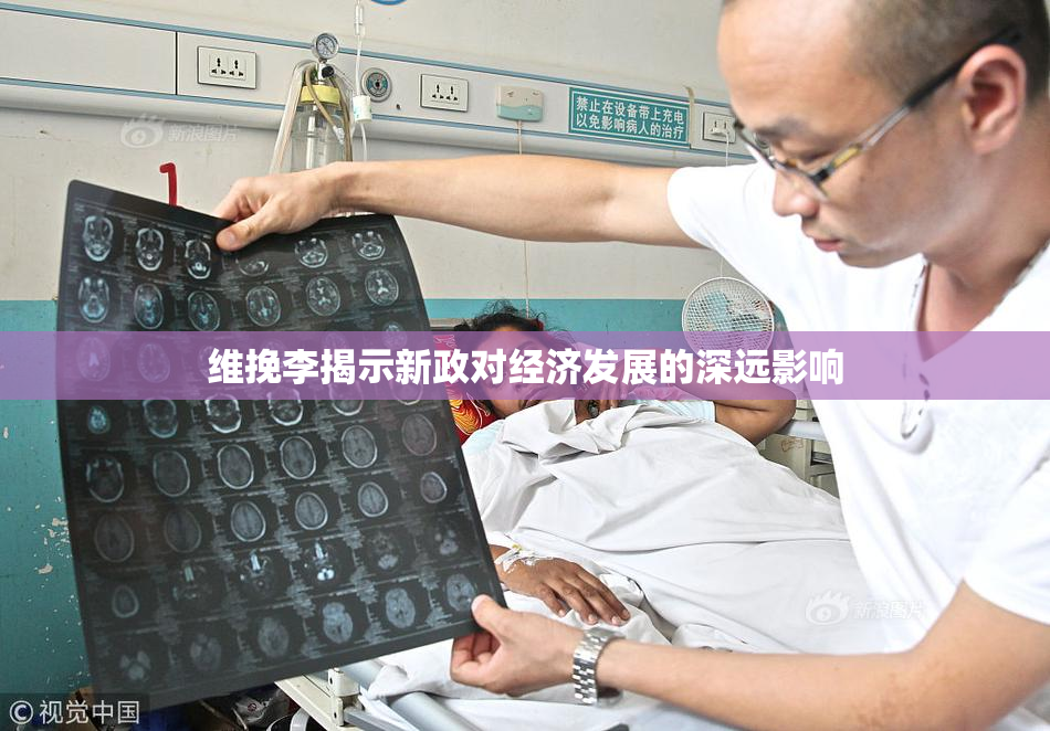 维挽李揭示新政对经济发展的深远影响