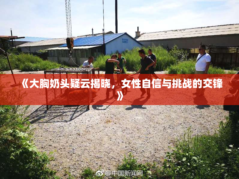 《大胸奶头疑云揭晓，女性自信与挑战的交锋》