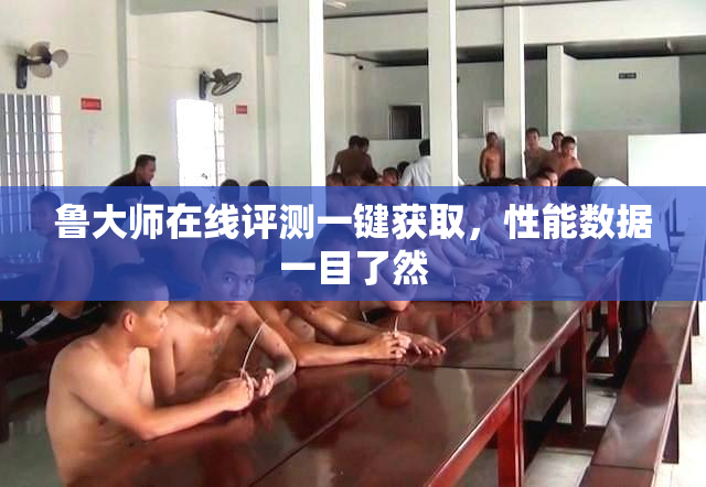 鲁大师在线评测一键获取，性能数据一目了然