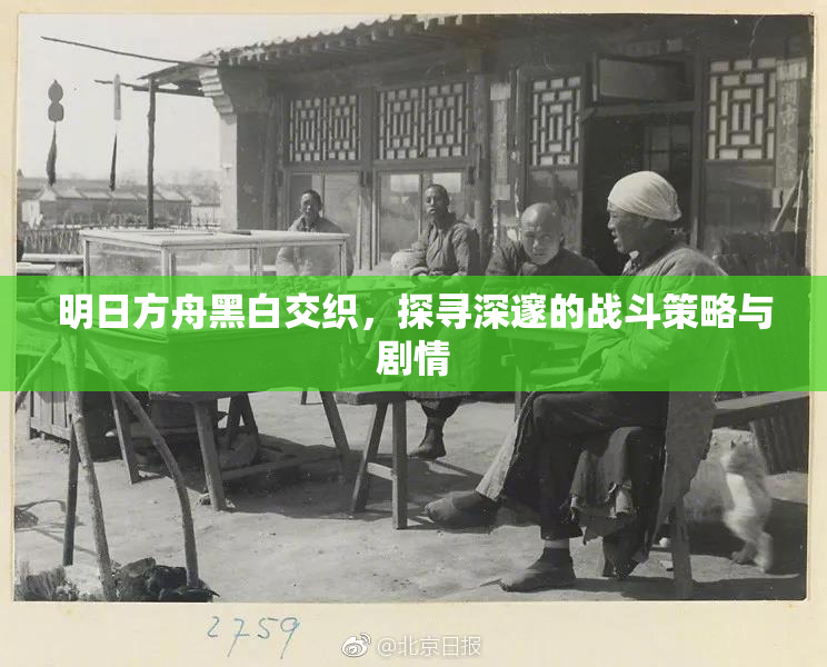 明日方舟黑白交织，探寻深邃的战斗策略与剧情