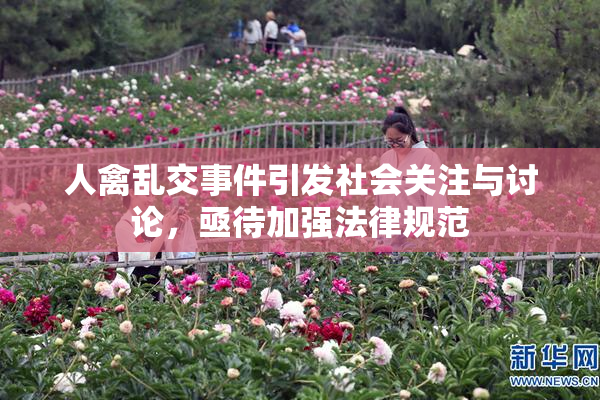 人禽乱交事件引发社会关注与讨论，亟待加强法律规范