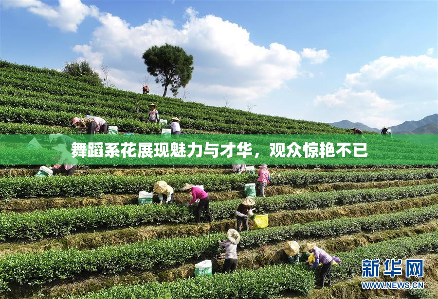 舞蹈系花展现魅力与才华，观众惊艳不已