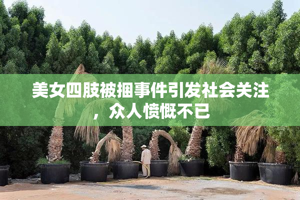 美女四肢被捆事件引发社会关注，众人愤慨不已