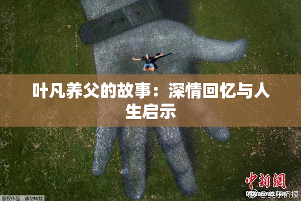 叶凡养父的故事：深情回忆与人生启示