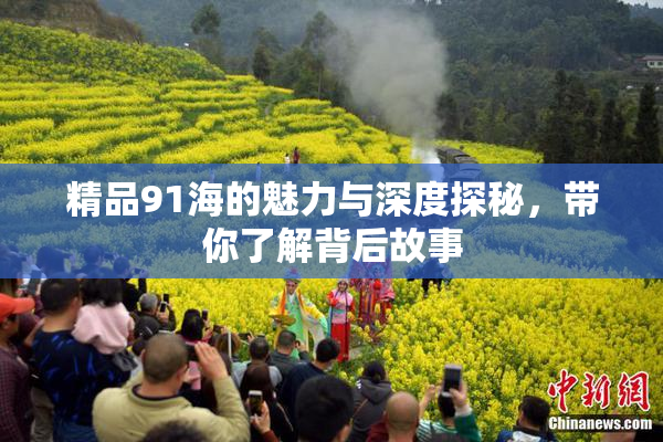 精品91海的魅力与深度探秘，带你了解背后故事