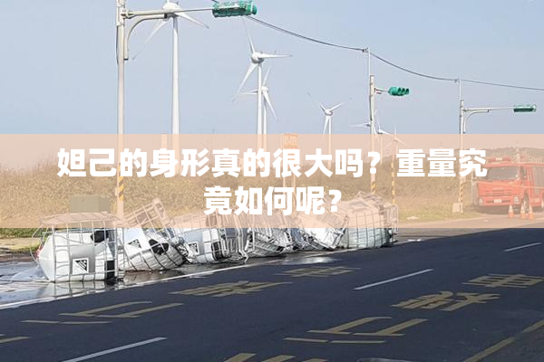 妲己的身形真的很大吗？重量究竟如何呢？