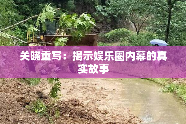 关晓重写：揭示娱乐圈内幕的真实故事