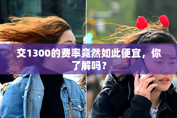 交1300的费率竟然如此便宜，你了解吗？