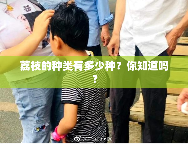 荔枝的种类有多少种？你知道吗？