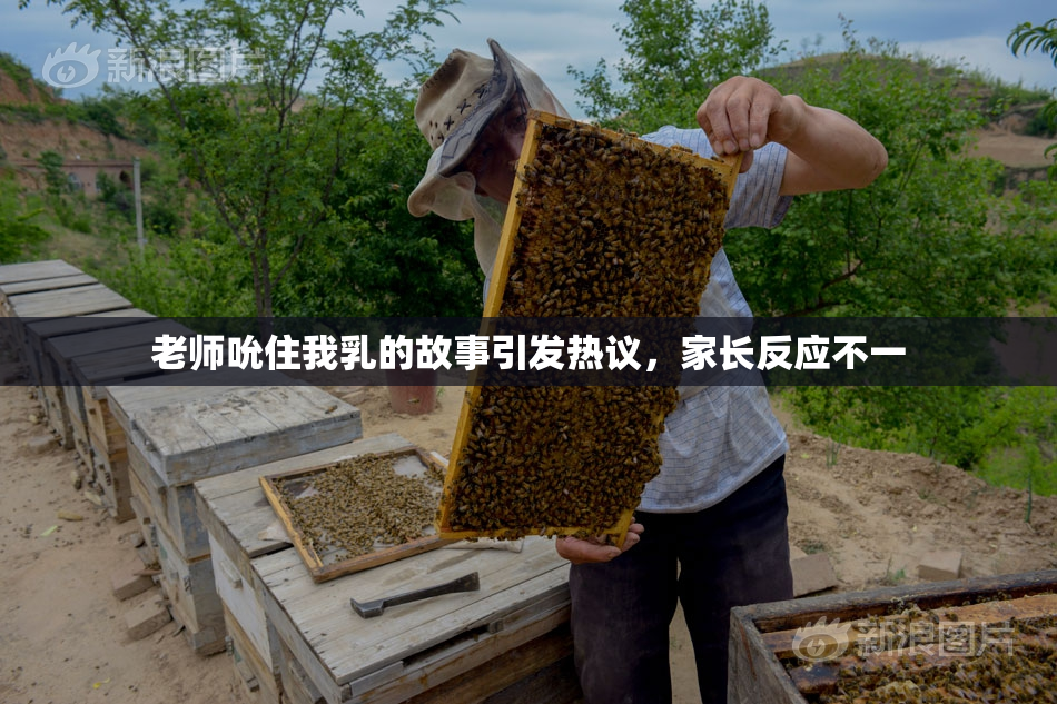 老师吮住我乳的故事引发热议，家长反应不一