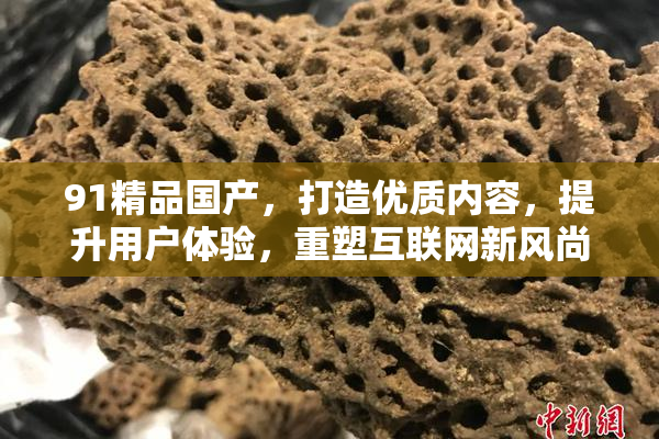 91精品国产，打造优质内容，提升用户体验，重塑互联网新风尚。