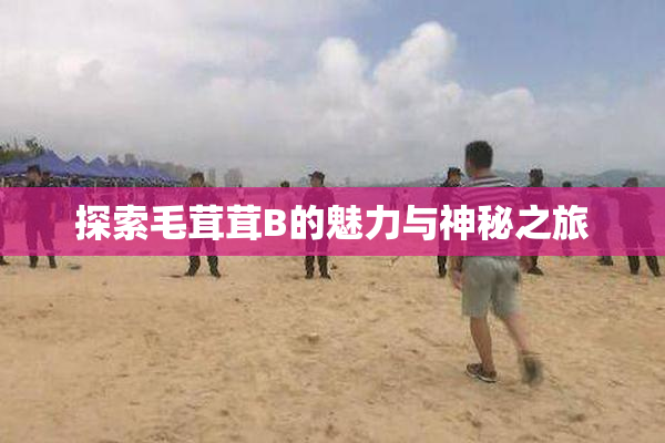 探索毛茸茸B的魅力与神秘之旅