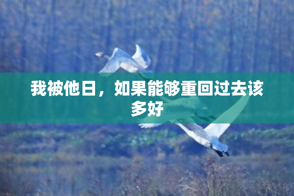 我被他日，如果能够重回过去该多好