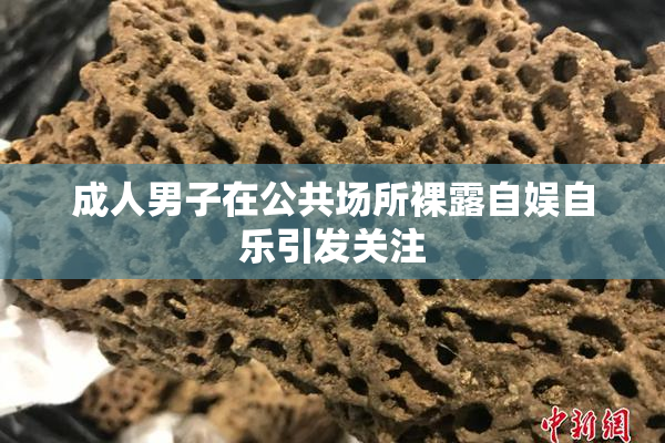 成人男子在公共场所裸露自娱自乐引发关注