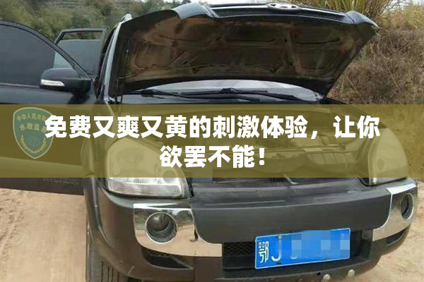 免费又爽又黄的刺激体验，让你欲罢不能！