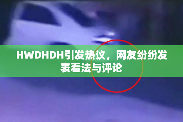 HWDHDH引发热议，网友纷纷发表看法与评论
